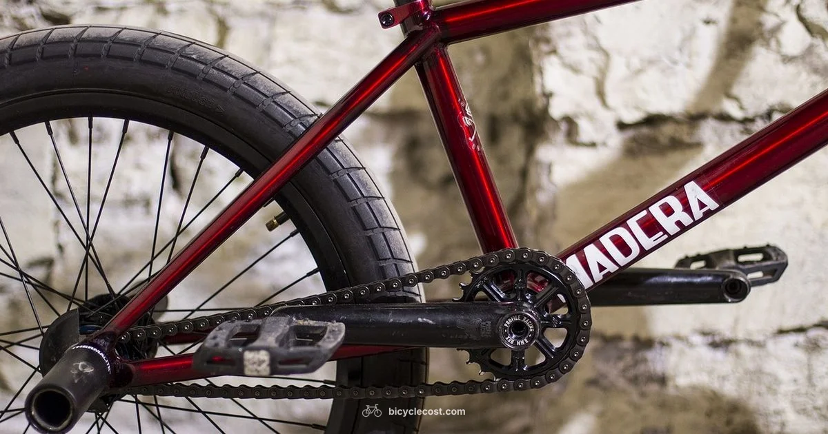 Bike Gear Guide - BicycleCost