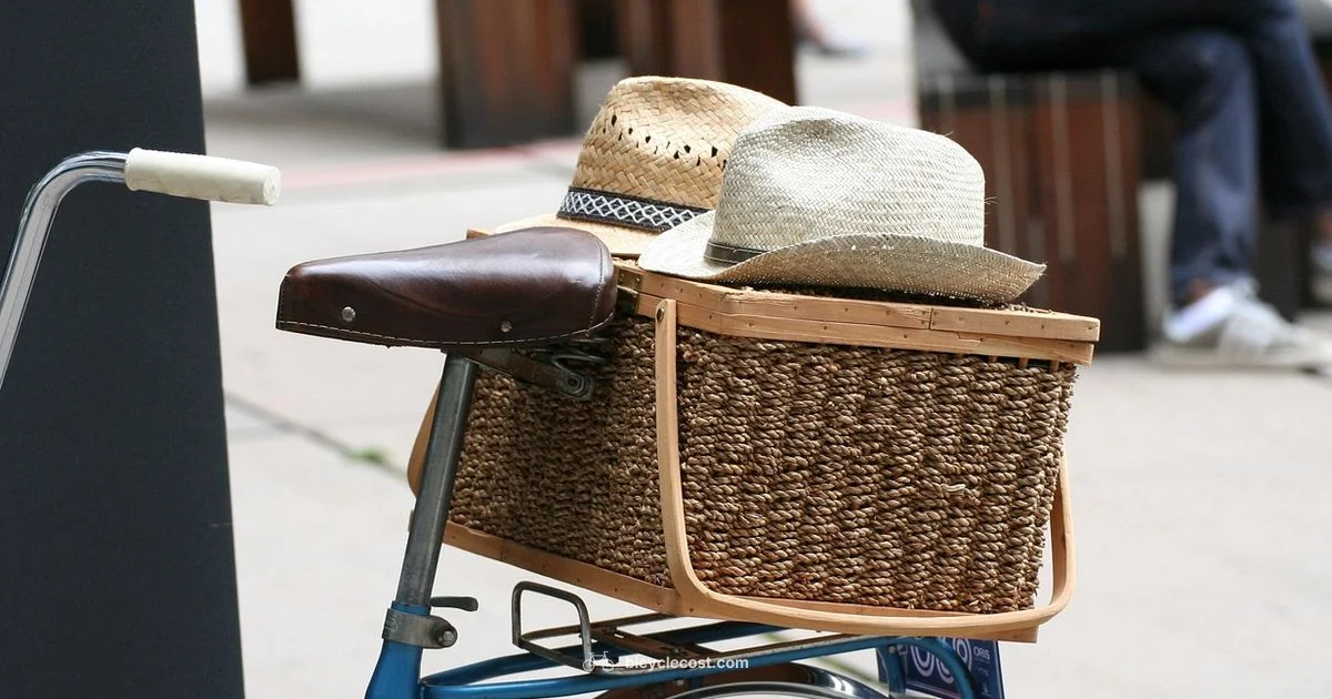 Tandem Wheel Guide - BicycleCost