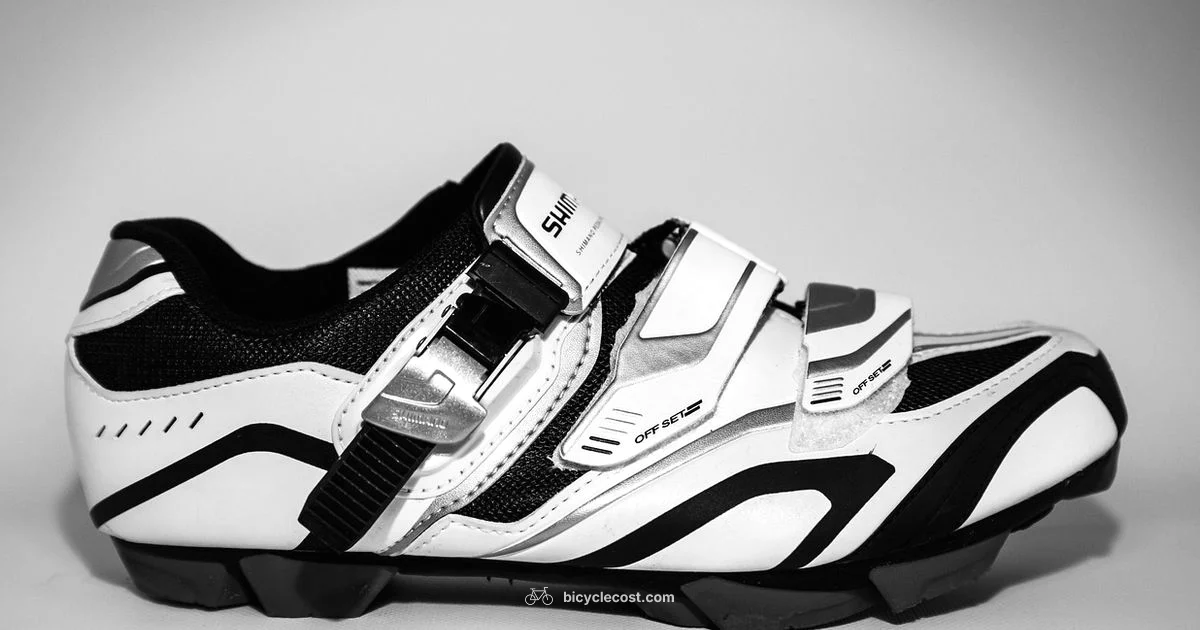 Cycling Shoes Guide - BicycleCost