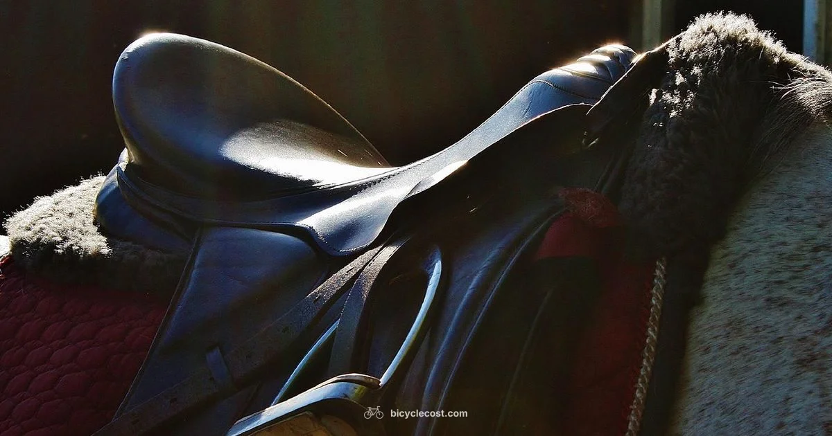 Saddle Comfort Guide - BicycleCost