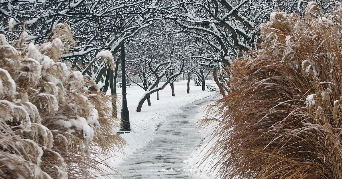 Fat Bicycle Basics - BicycleCost