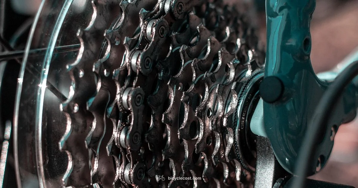 Chain Wear Guide - BicycleCost