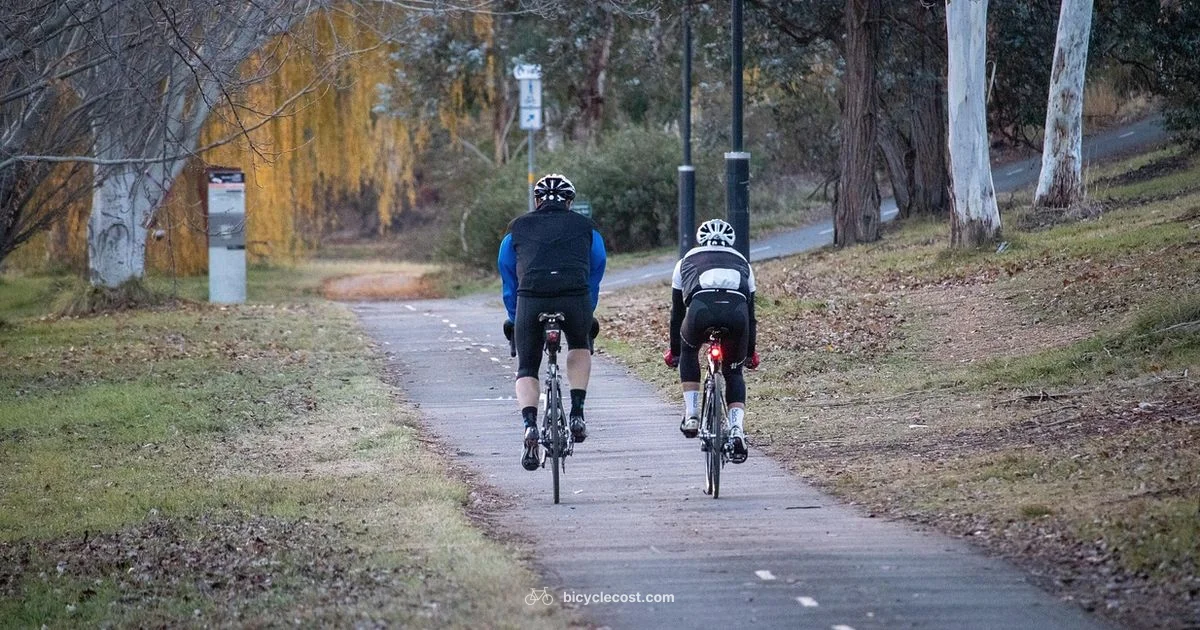 Top Hybrid for Women - BicycleCost