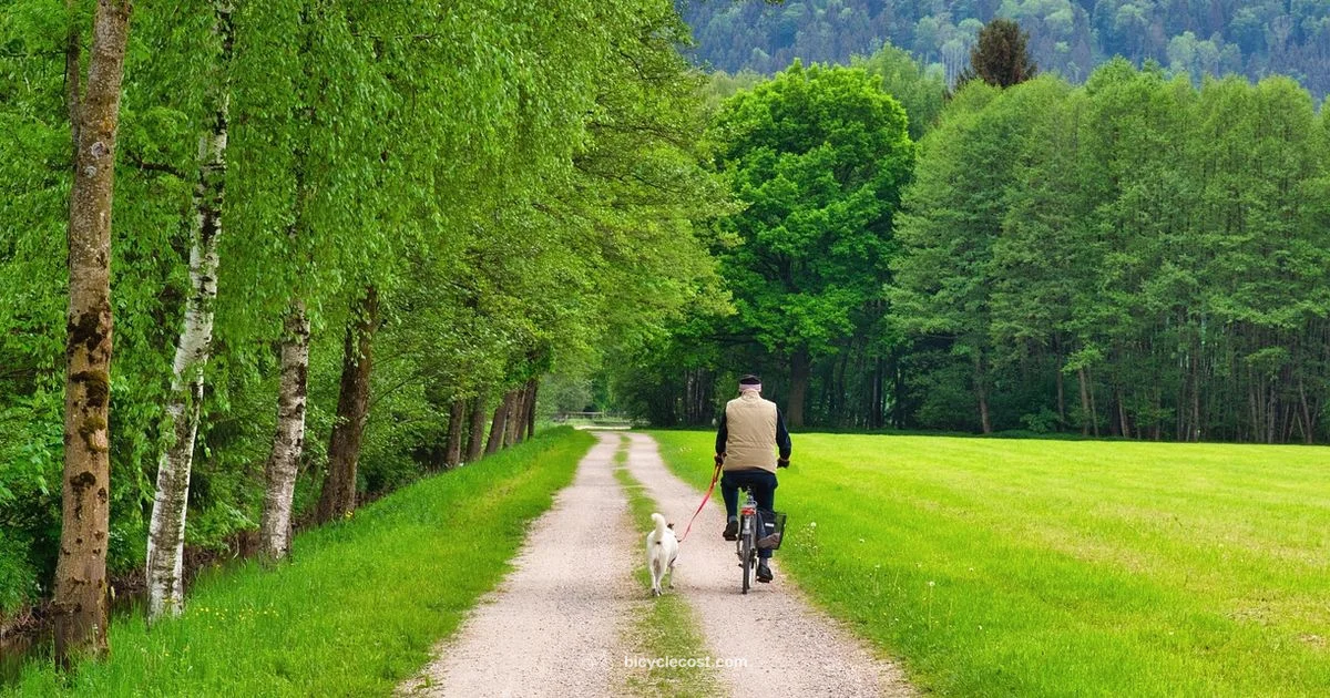 Pedal-Free Riding - BicycleCost