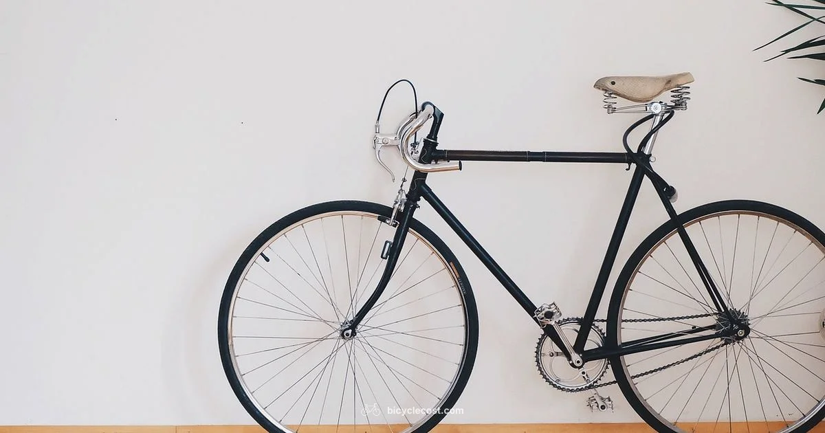 Clean Bicycle Guide - BicycleCost