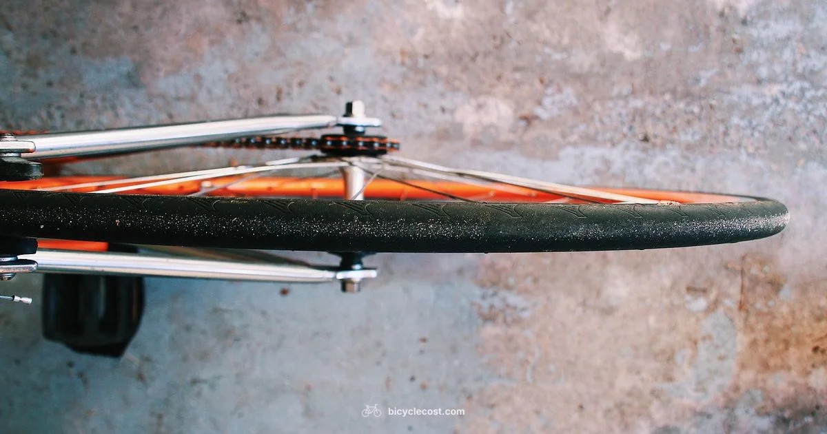 Buy Bicycle Guide - BicycleCost