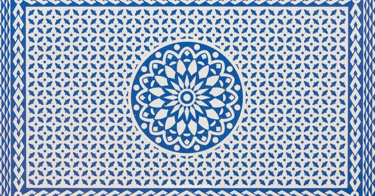 Bicycle Cards Review - BicycleCost