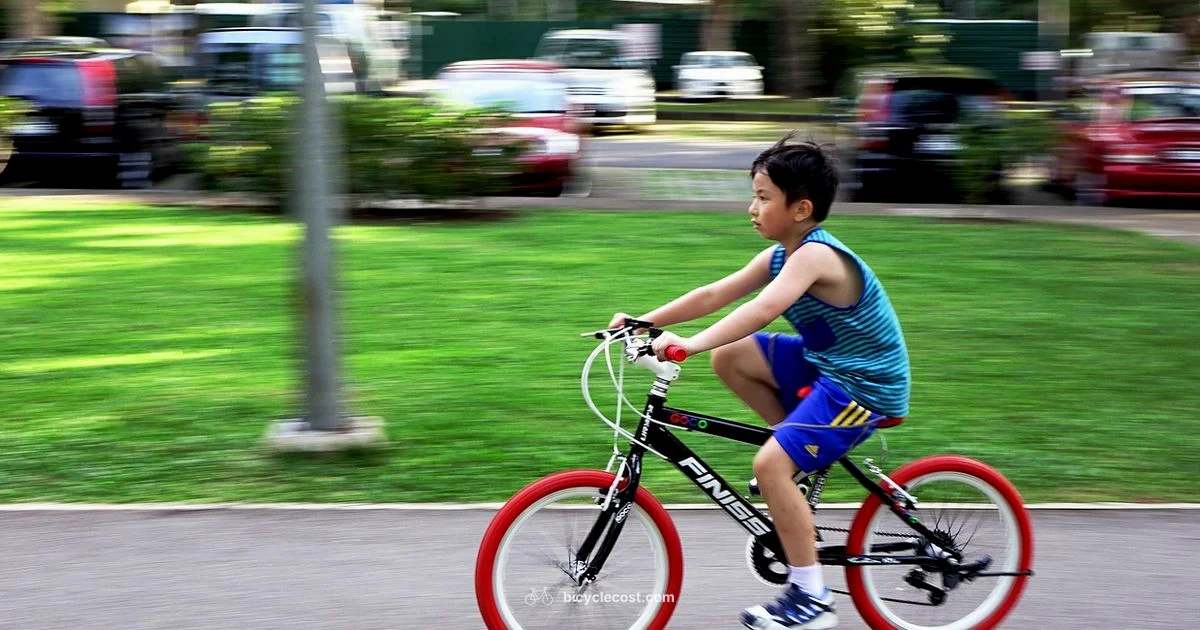 Road Bike Sale Road Bike Sale - BicycleCost