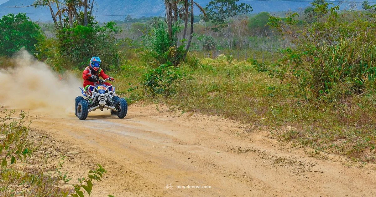 Best Quad Bikes 2026 - BicycleCost