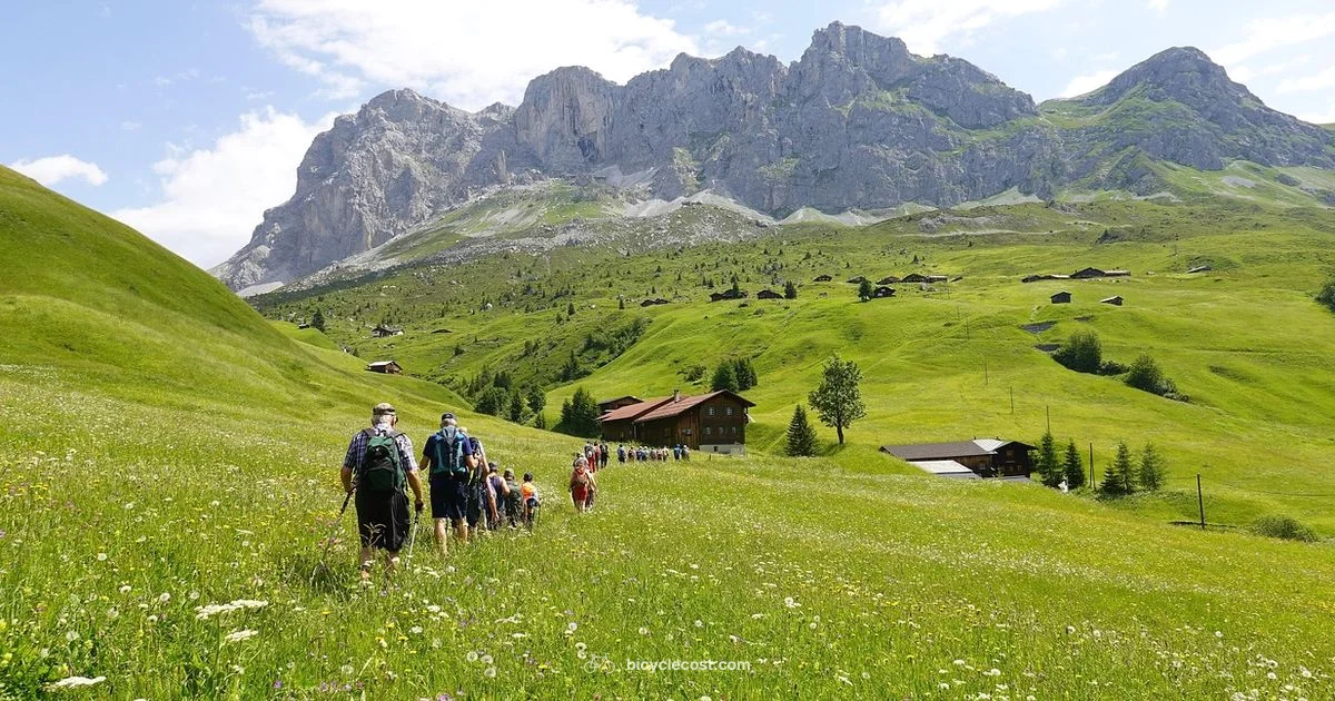 Trek Mountain Bikes - BicycleCost