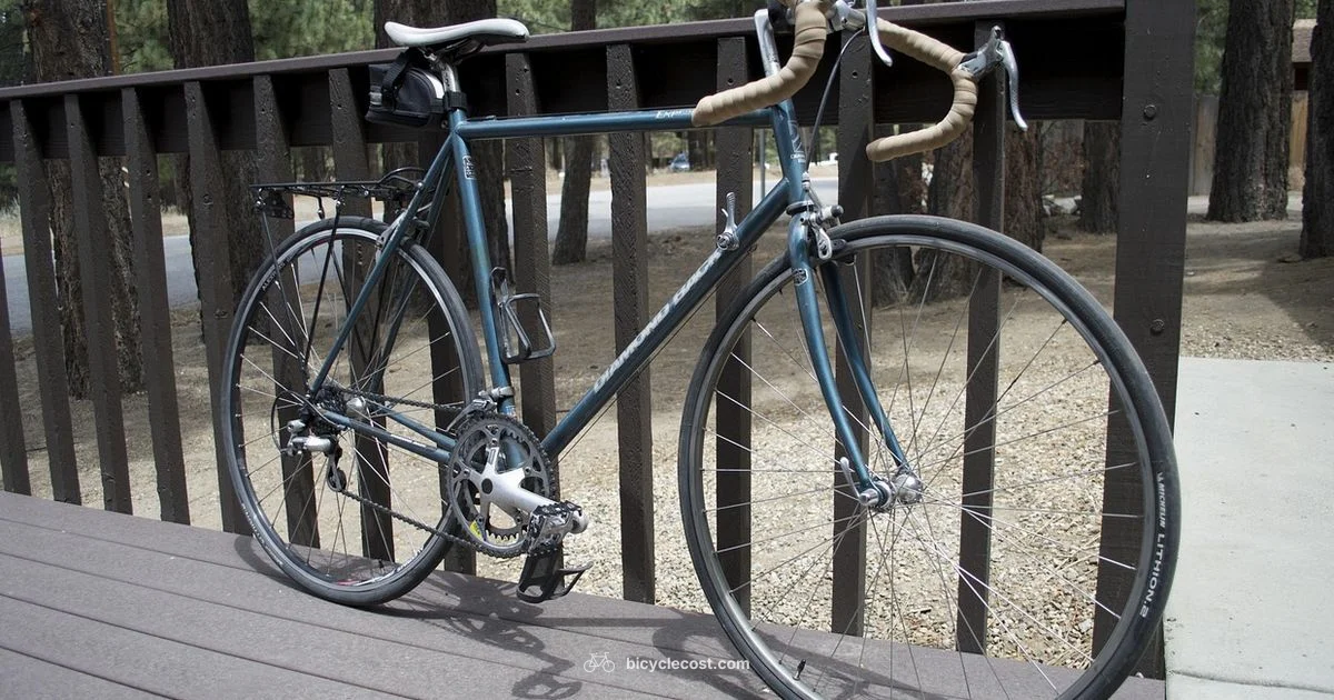 Sidi Shoes Guide - BicycleCost