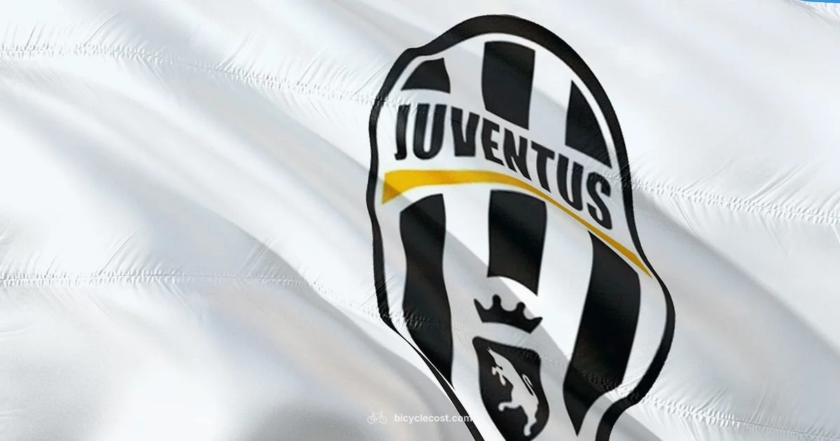 Ronaldo Overhead Kick - BicycleCost