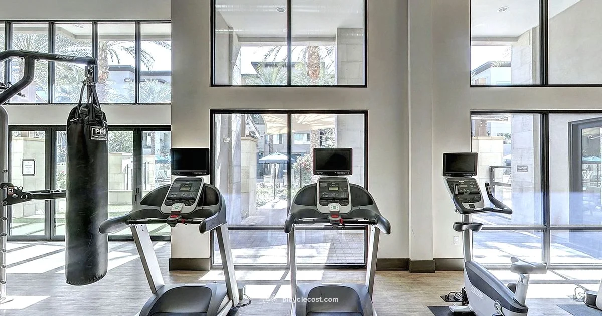 Peloton Starter Guide - BicycleCost