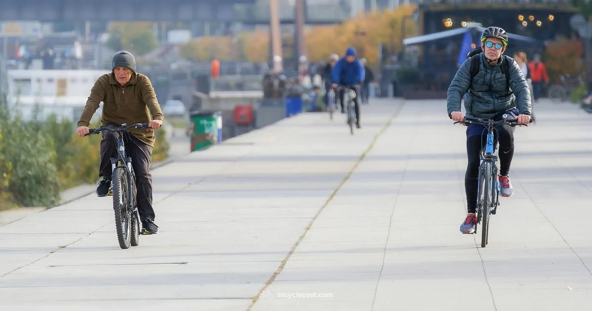 Hybrid E Bike Guide Hybrid E Bike Guide - BicycleCost