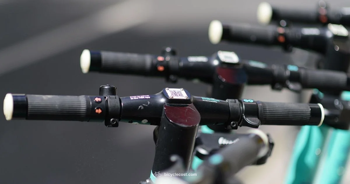 Battery Basics - BicycleCost