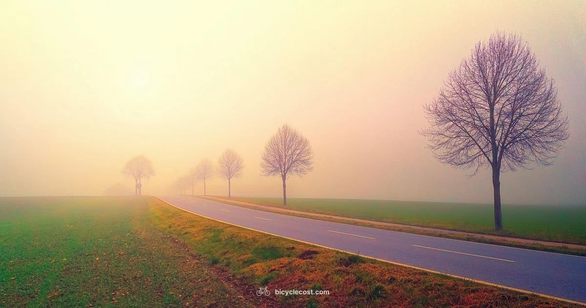 Speed Up Your Bike - BicycleCost