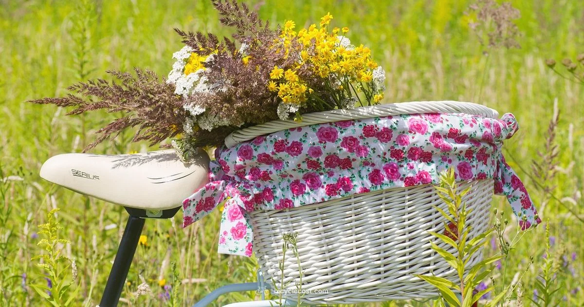 Women’s Bike Picks - BicycleCost