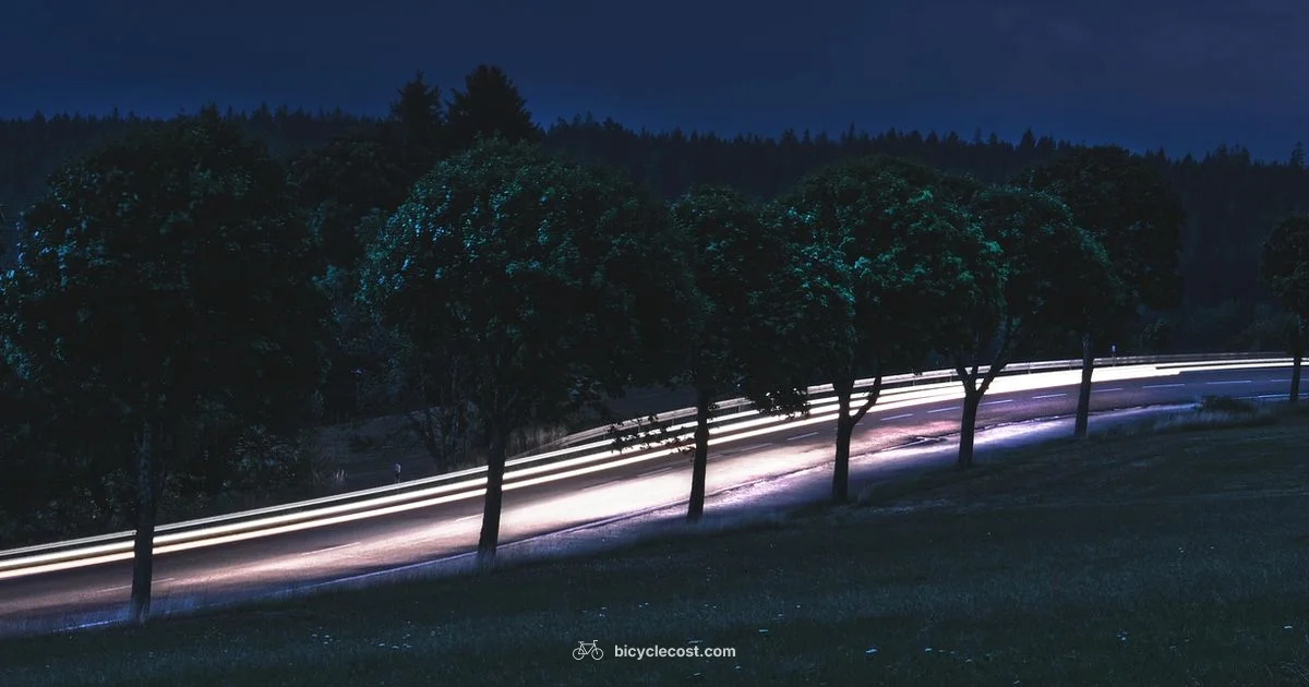 Highway Bike Rules - BicycleCost