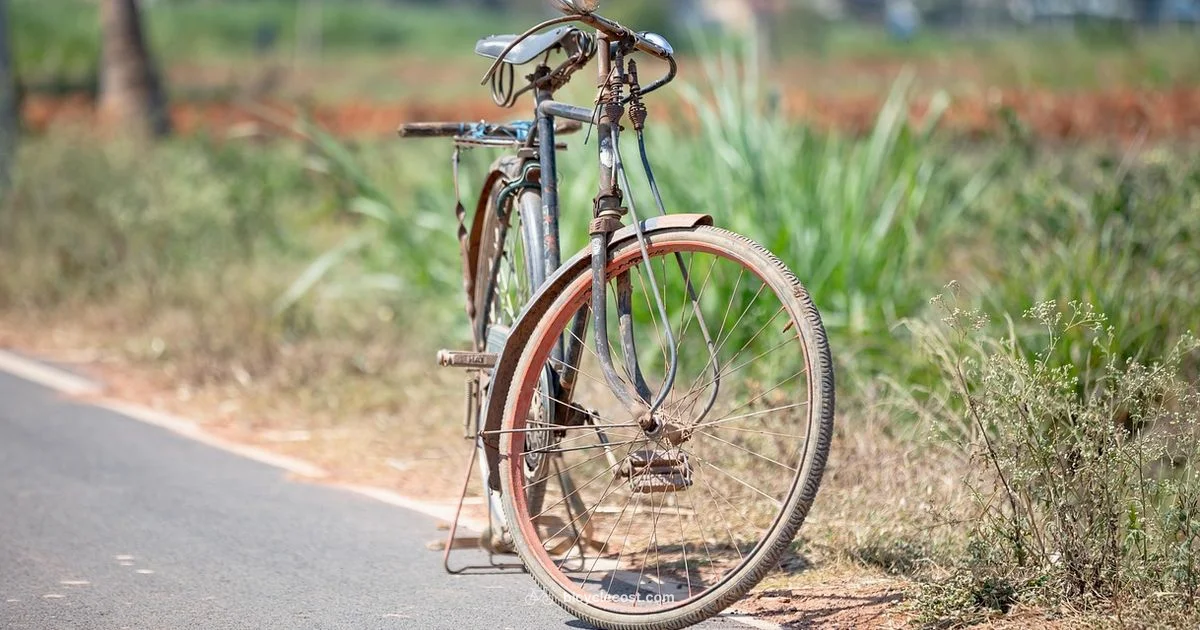 Kent Bicycle Guide - BicycleCost