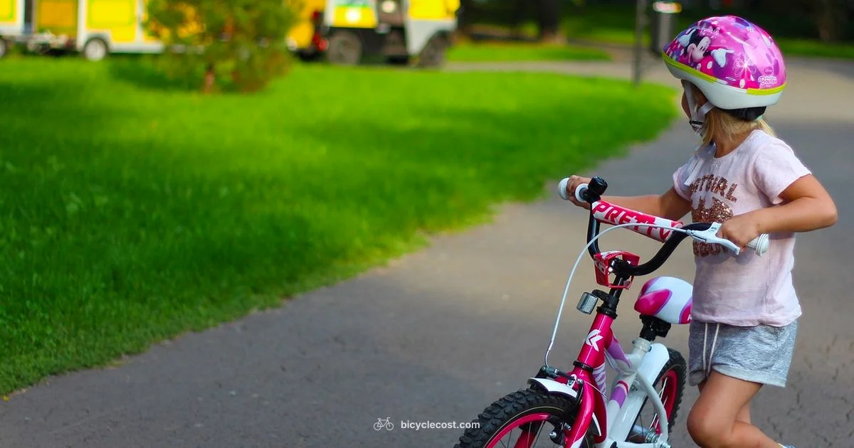 16-Inch Bike Age - BicycleCost