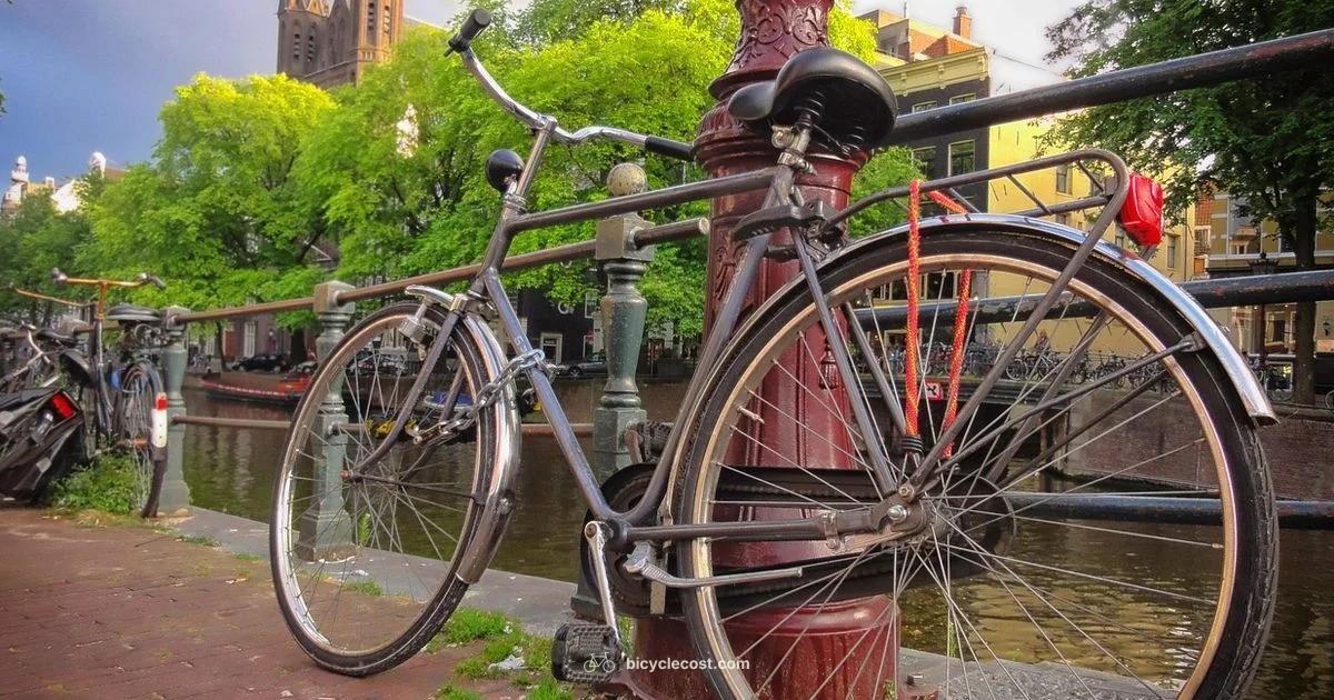 Amsterdam Cycling System - BicycleCost