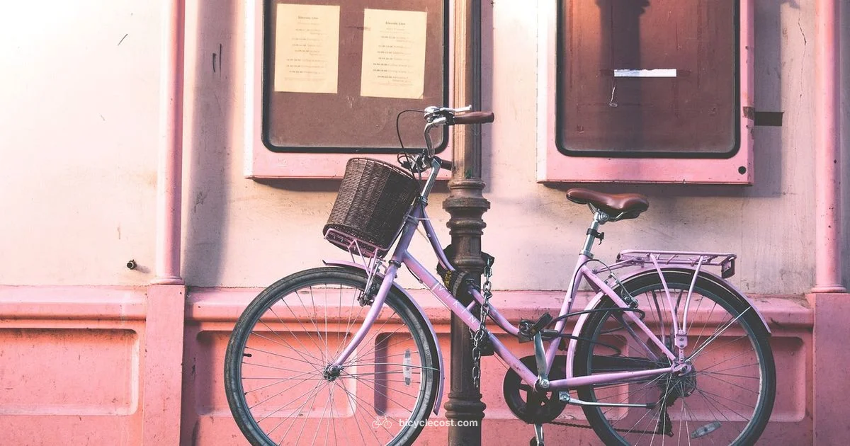 Lock Your Bike Securely - BicycleCost