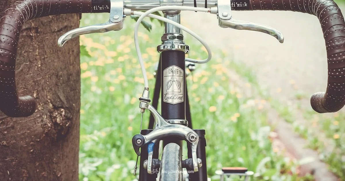 Locate Serial Number - BicycleCost