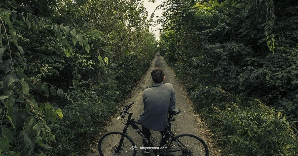 Long-Distance Ready - BicycleCost