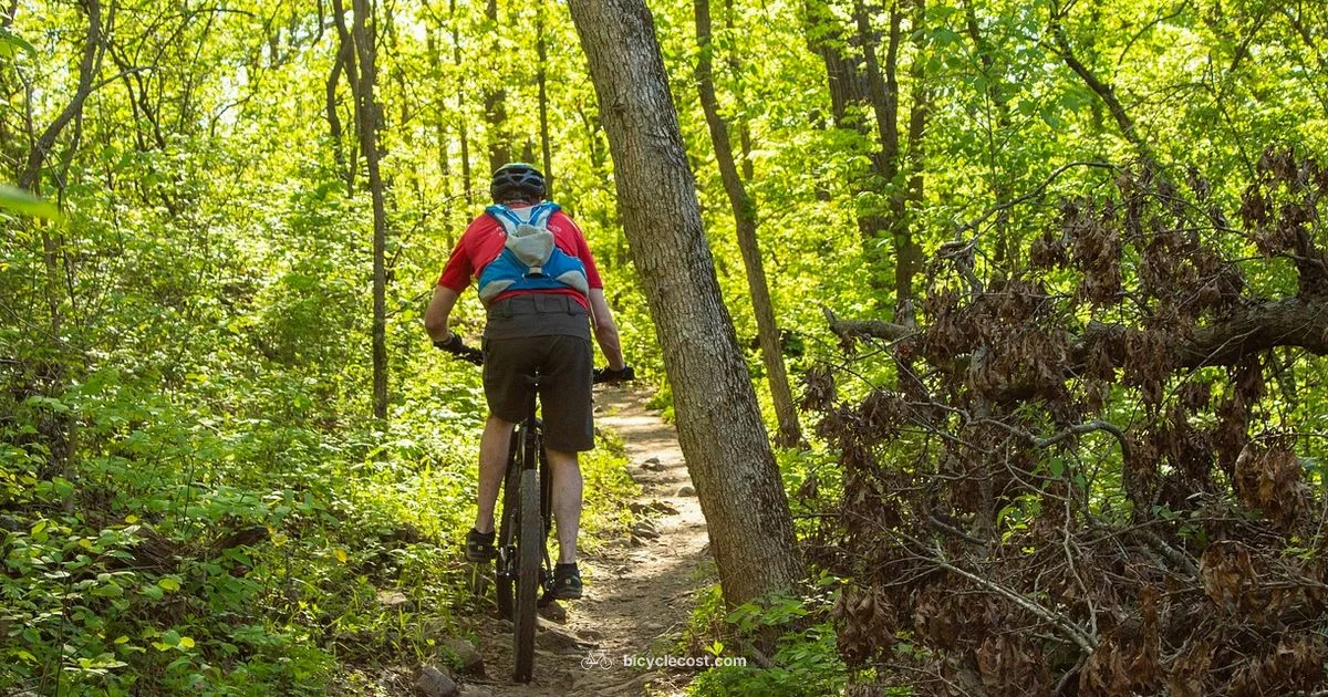 MTB vs Road Bike - BicycleCost