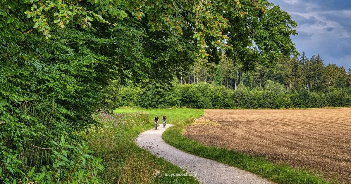 Shorts Fit Guide - BicycleCost