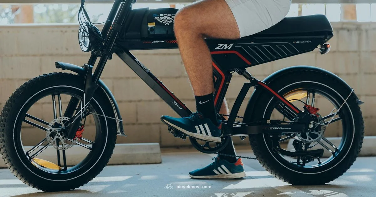 Eugene E-bikes - BicycleCost