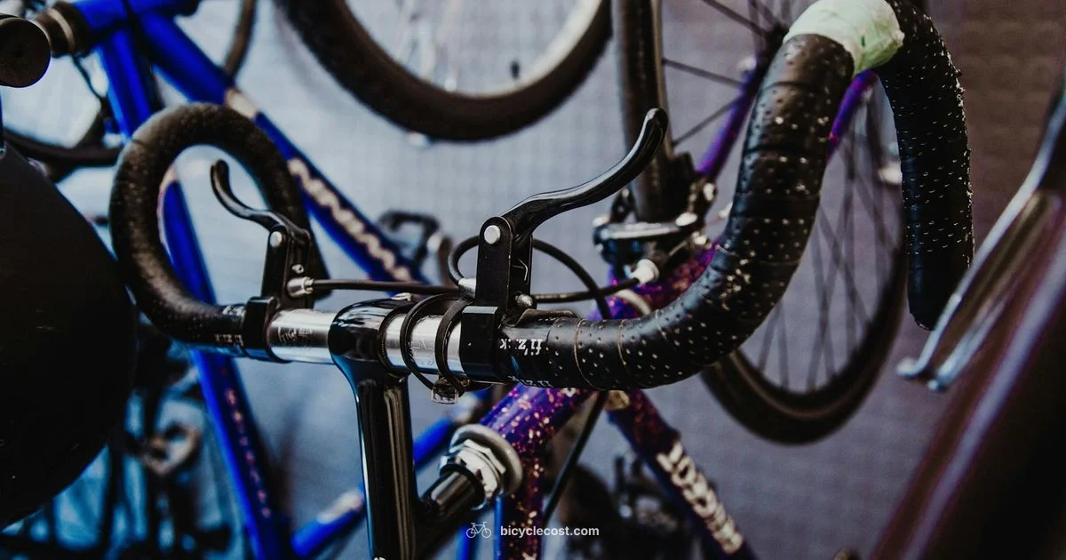 Buying a Bike - BicycleCost