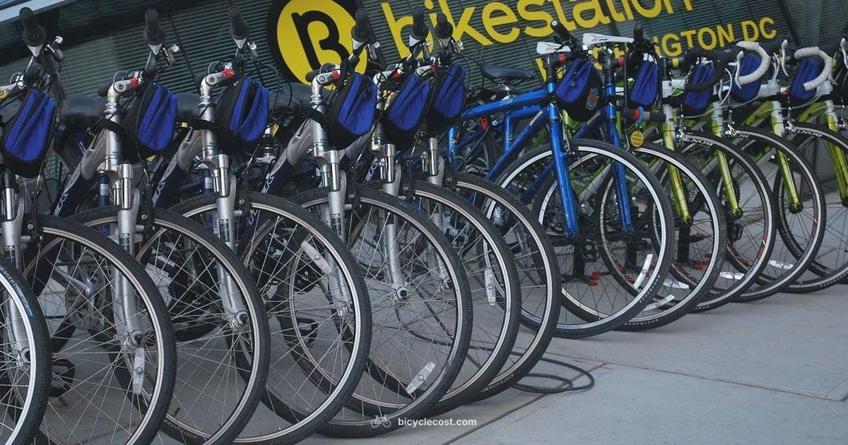 Kickstand for Bicycle Guide - BicycleCost