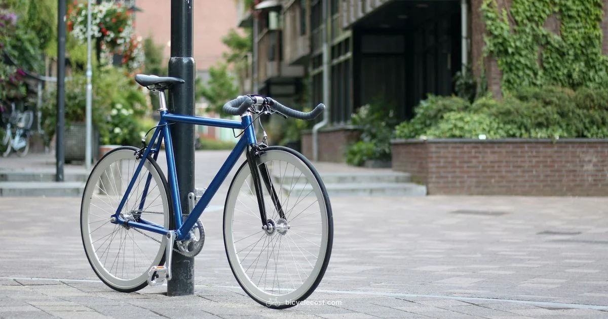 Gear Bicycle Basics - BicycleCost