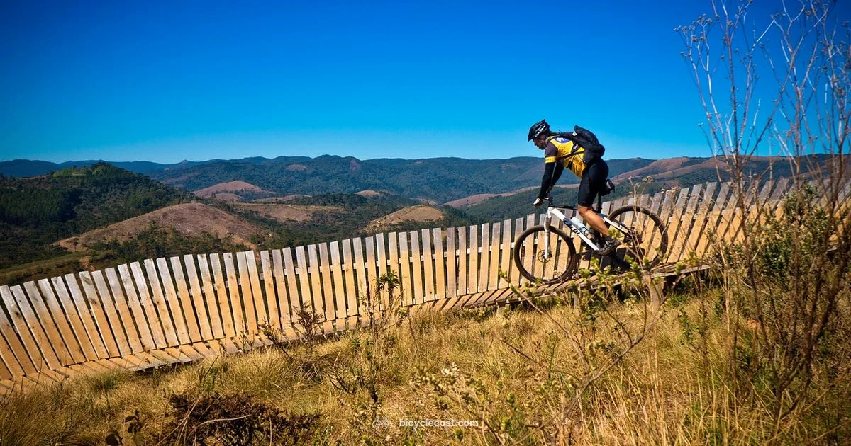 Best Hardtails 2026 - BicycleCost
