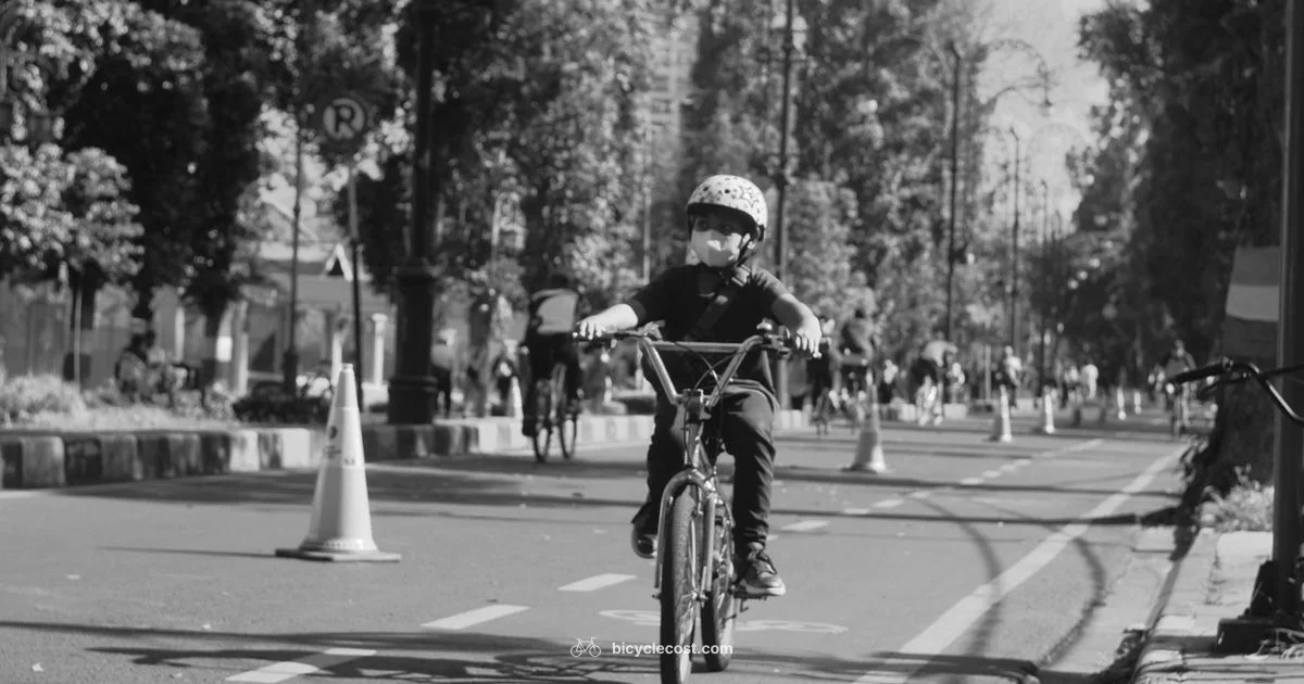 Infant Seat Safety - BicycleCost