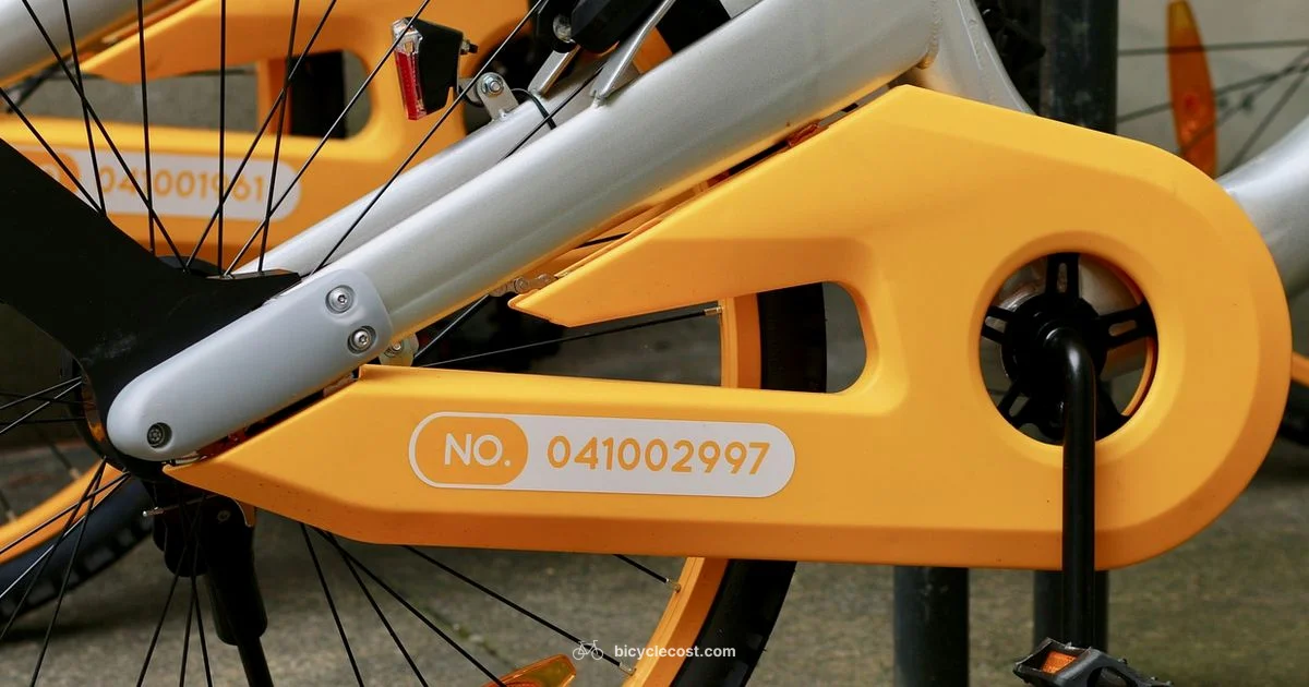 Bike Chain Guide - BicycleCost