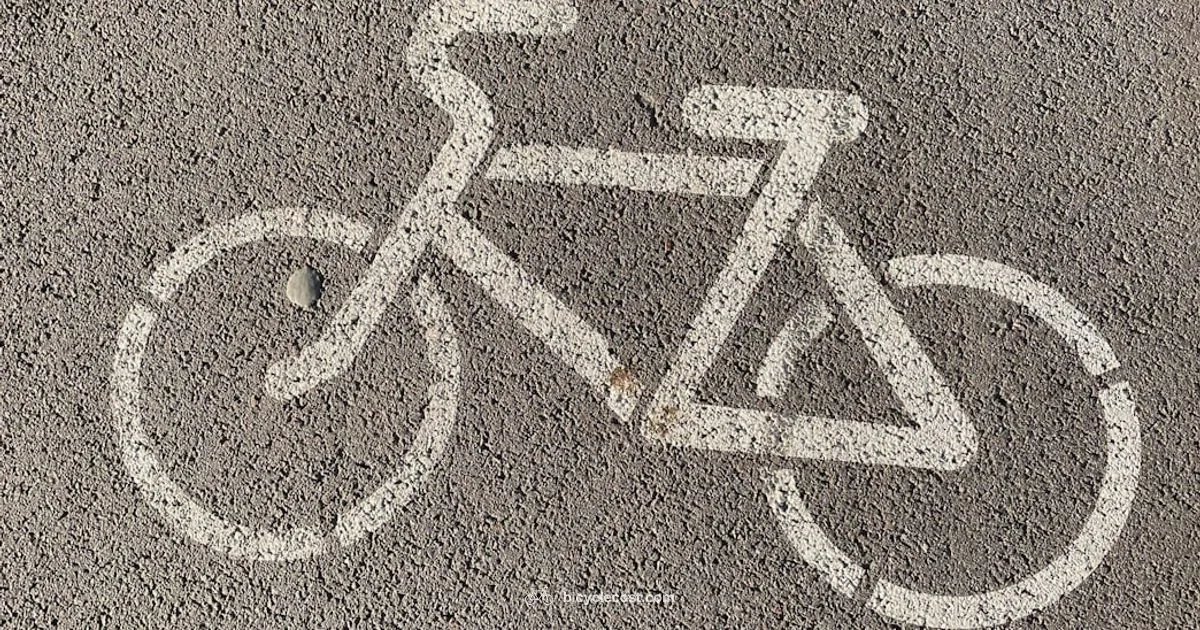 Find Your Bike Fit - BicycleCost