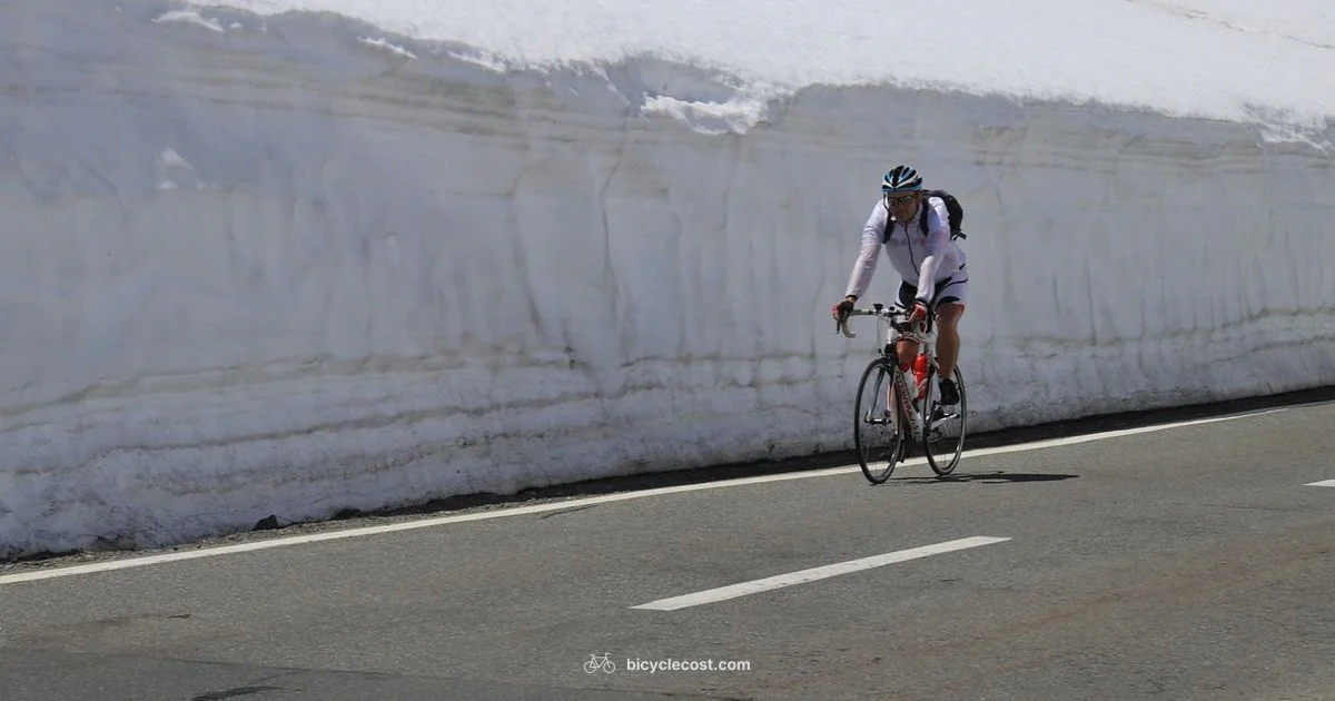 Cornering Insights - BicycleCost