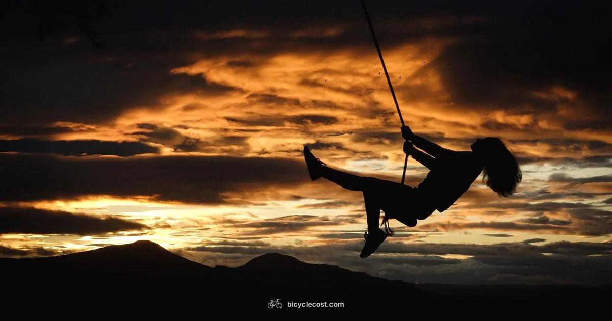 Joy E Bike Guide - BicycleCost