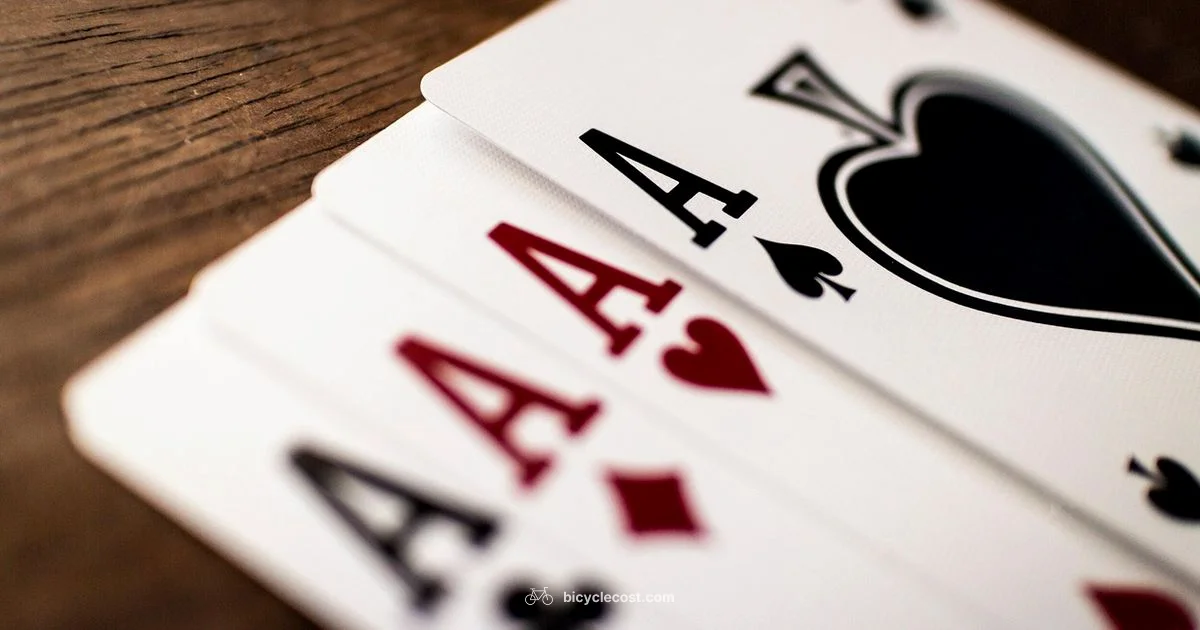 Best Bicycle Decks 2026 - BicycleCost