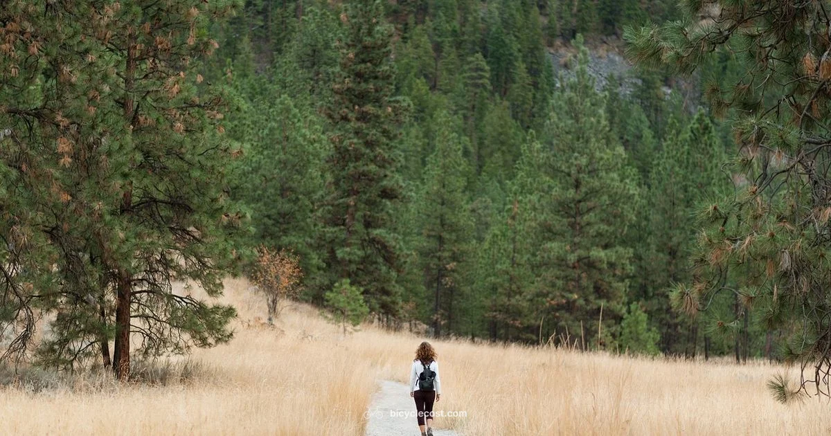 Womens Mountain Bike Guide - BicycleCost