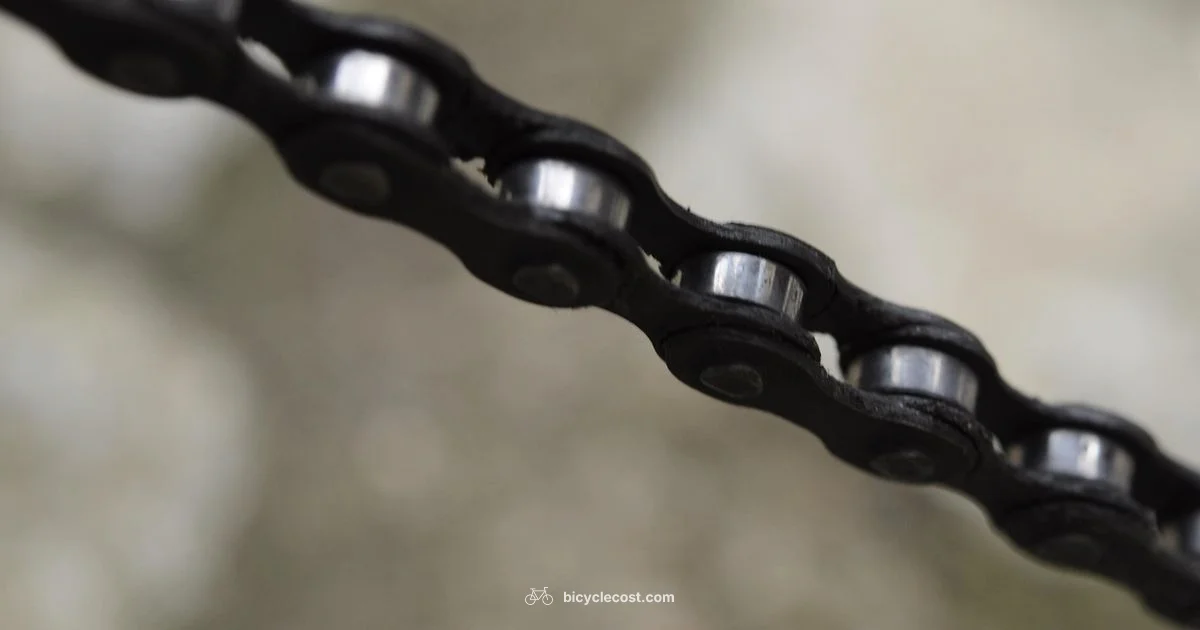 Loose Chain Fix - BicycleCost