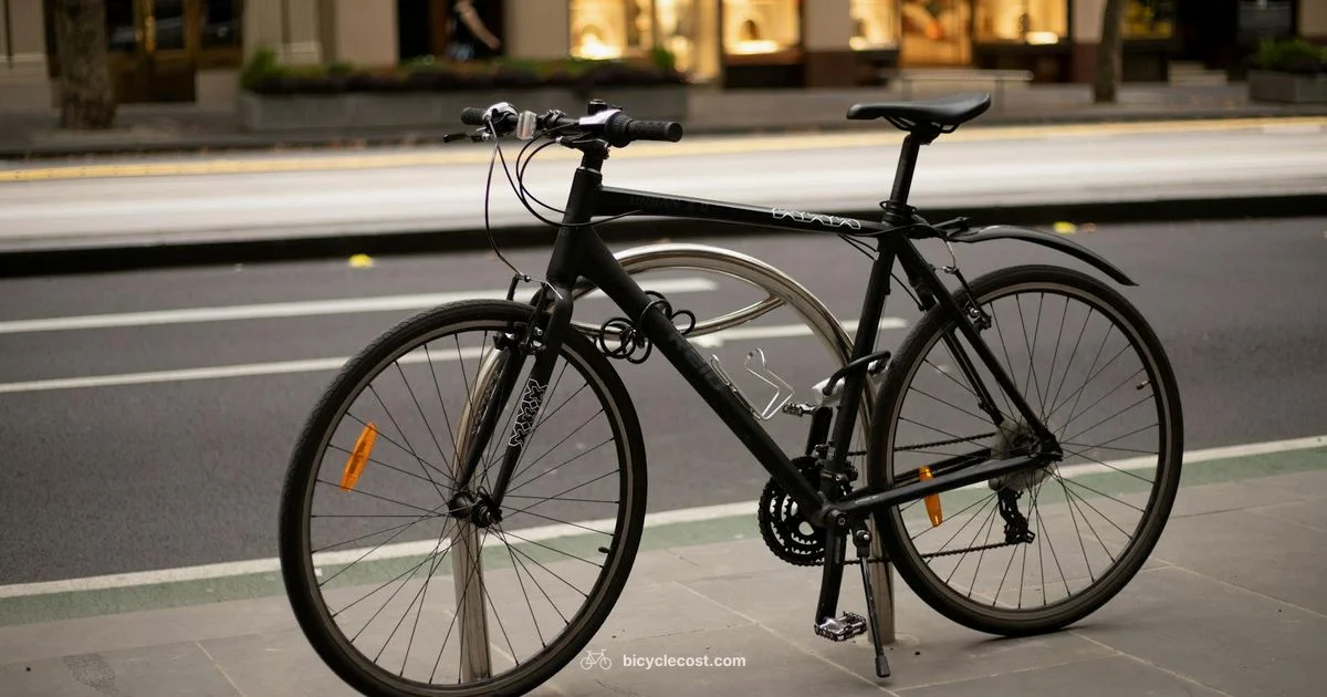 Best Under 1000 - BicycleCost