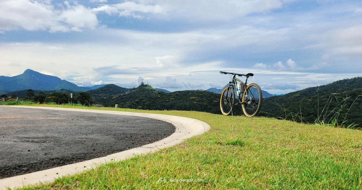 Giant Road Bikes - BicycleCost