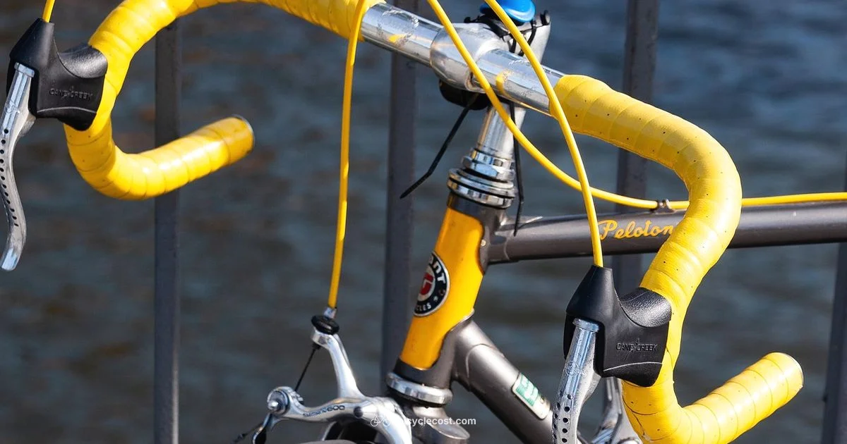 Bicycle Computer Guide - BicycleCost