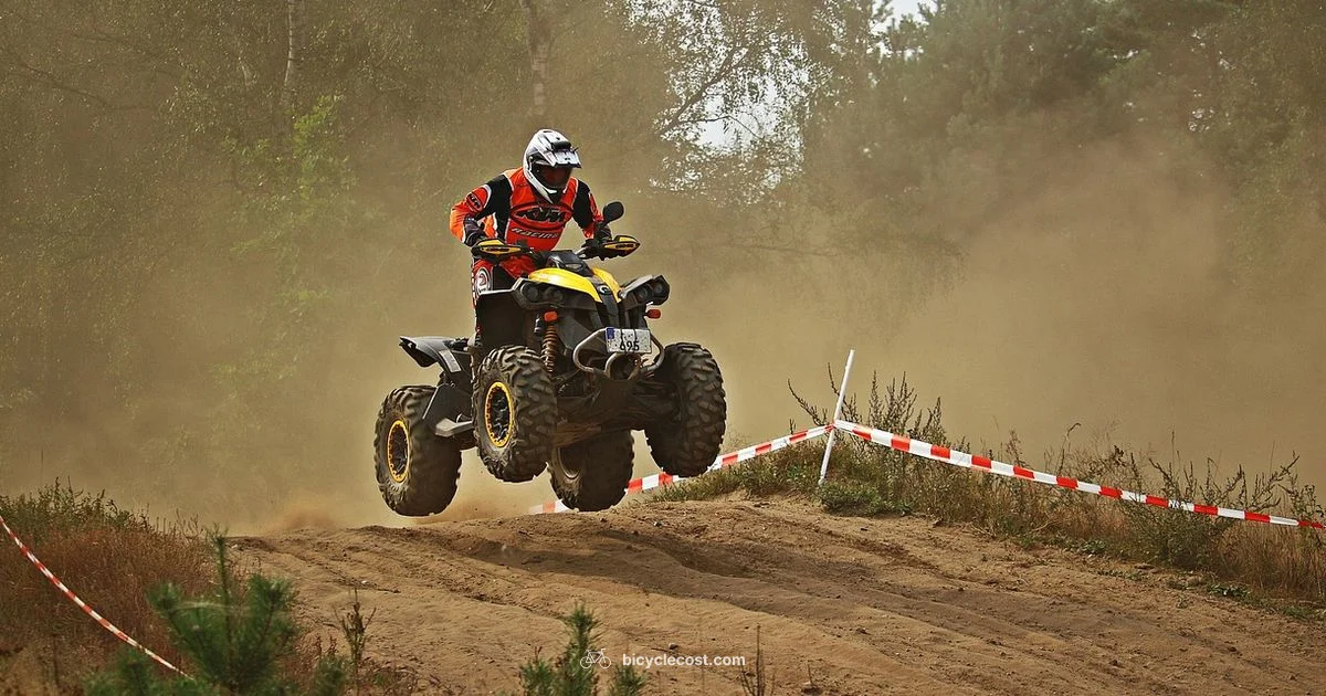 Quad Bike Guide - BicycleCost