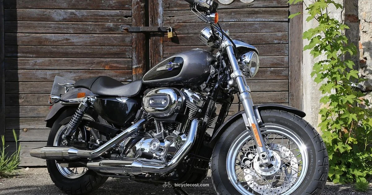 Bike vs Motorcycle - BicycleCost