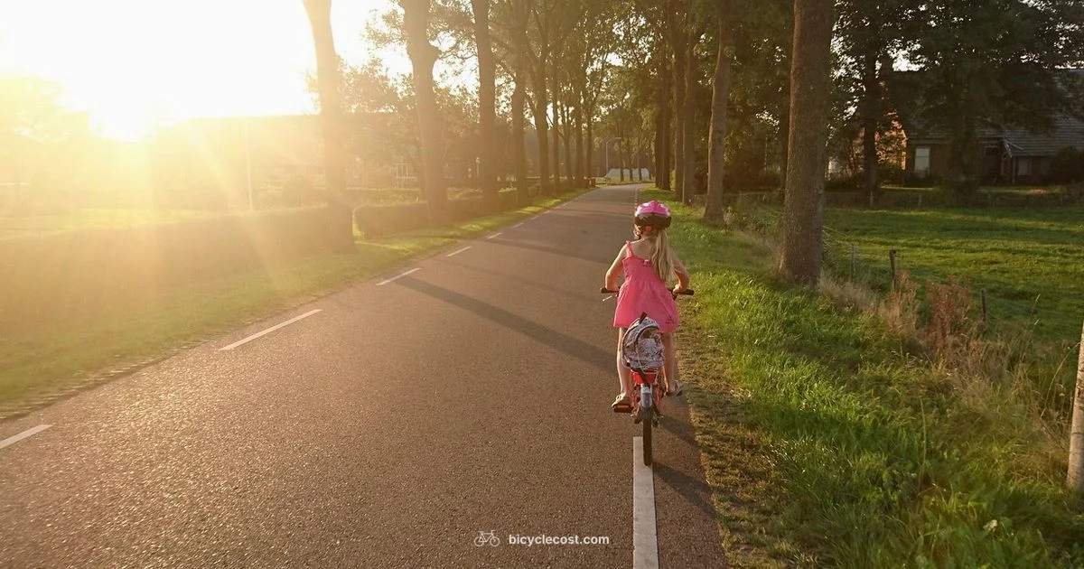 Kids Bike Sizing Guide - BicycleCost