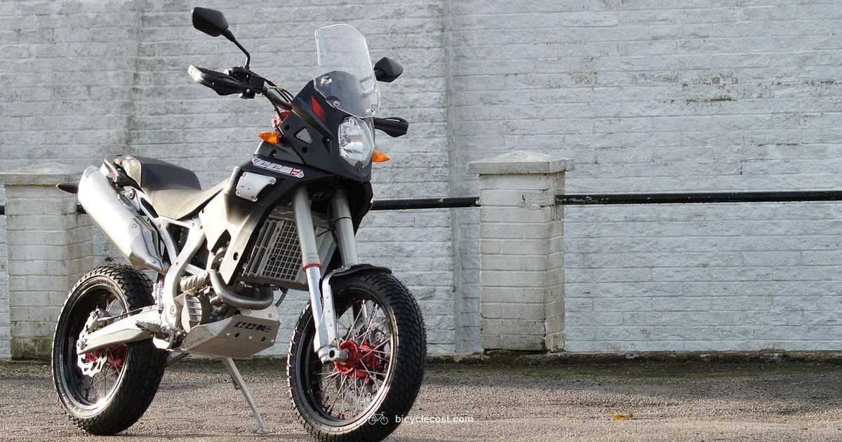 Motorcycle Look E-Bike - BicycleCost